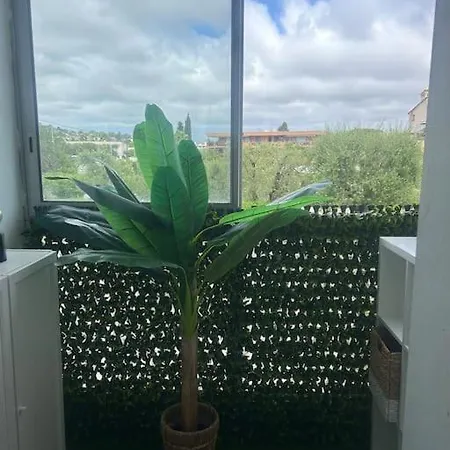 Logement Entier 2 Piscine, Terrasse Parking Antibes